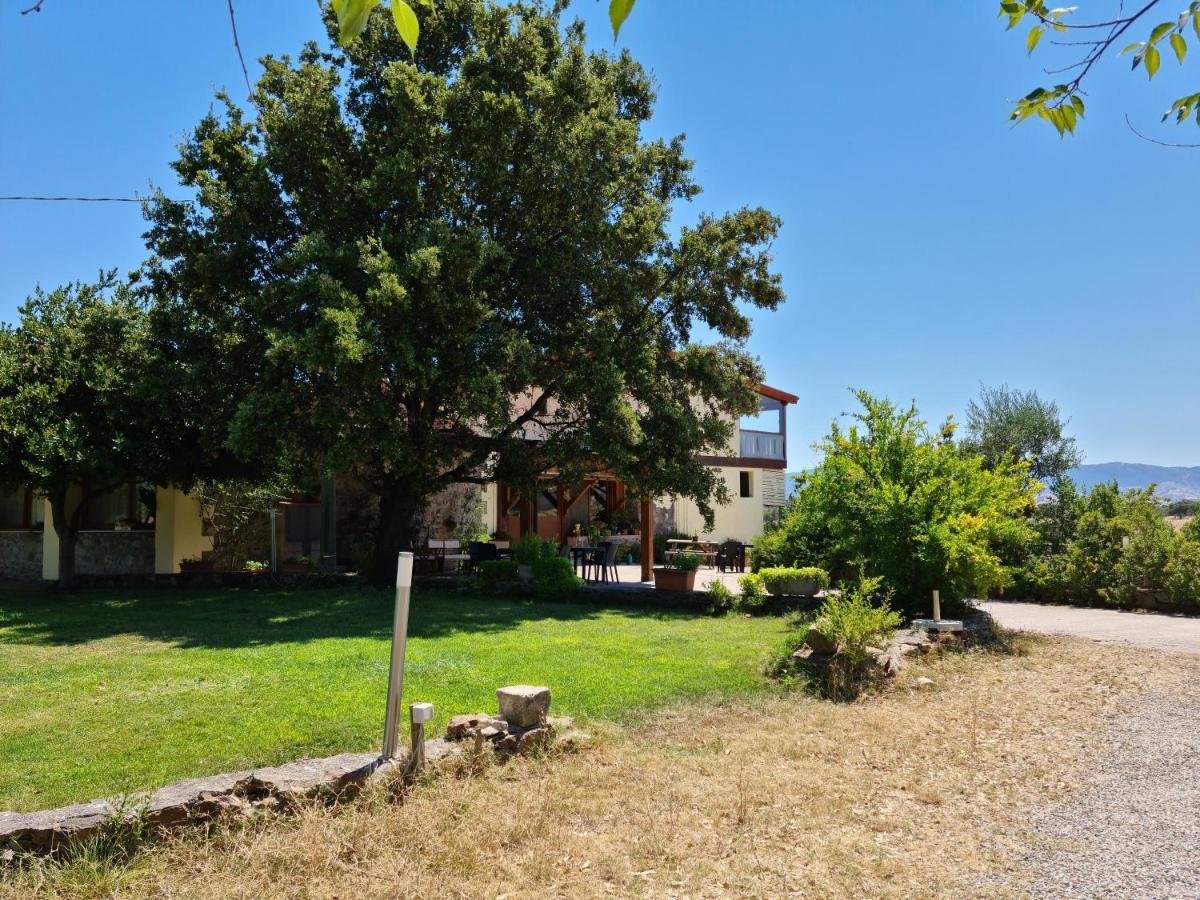 Agriturismo Sa Pigalva Tula Buitenkant foto