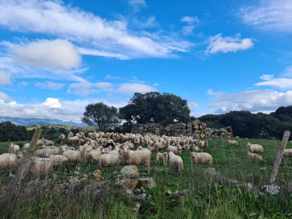 Agriturismo Sa Pigalva Tula Buitenkant foto