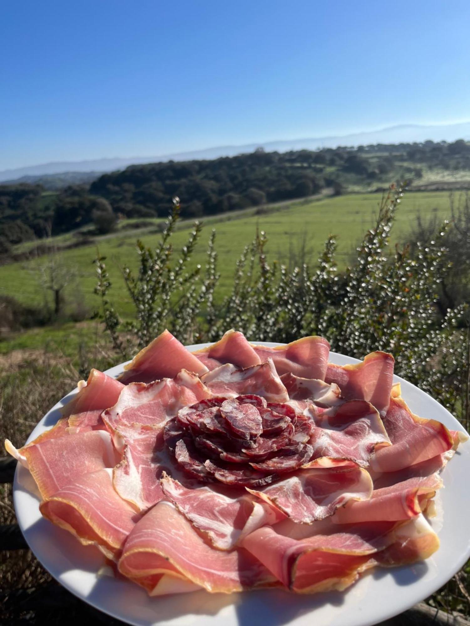 Agriturismo Sa Pigalva Tula Buitenkant foto