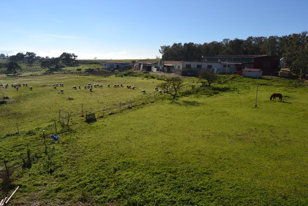 Agriturismo Sa Pigalva Tula Buitenkant foto
