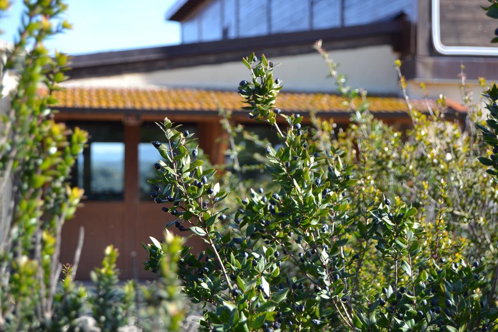 Agriturismo Sa Pigalva Tula Buitenkant foto