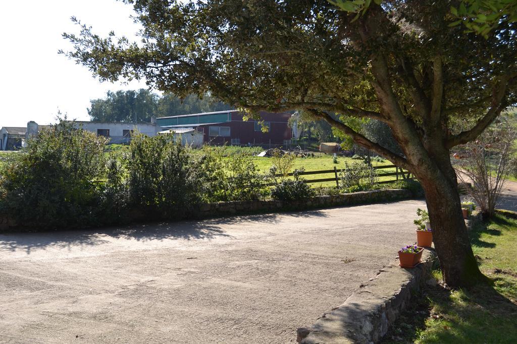 Agriturismo Sa Pigalva Tula Buitenkant foto