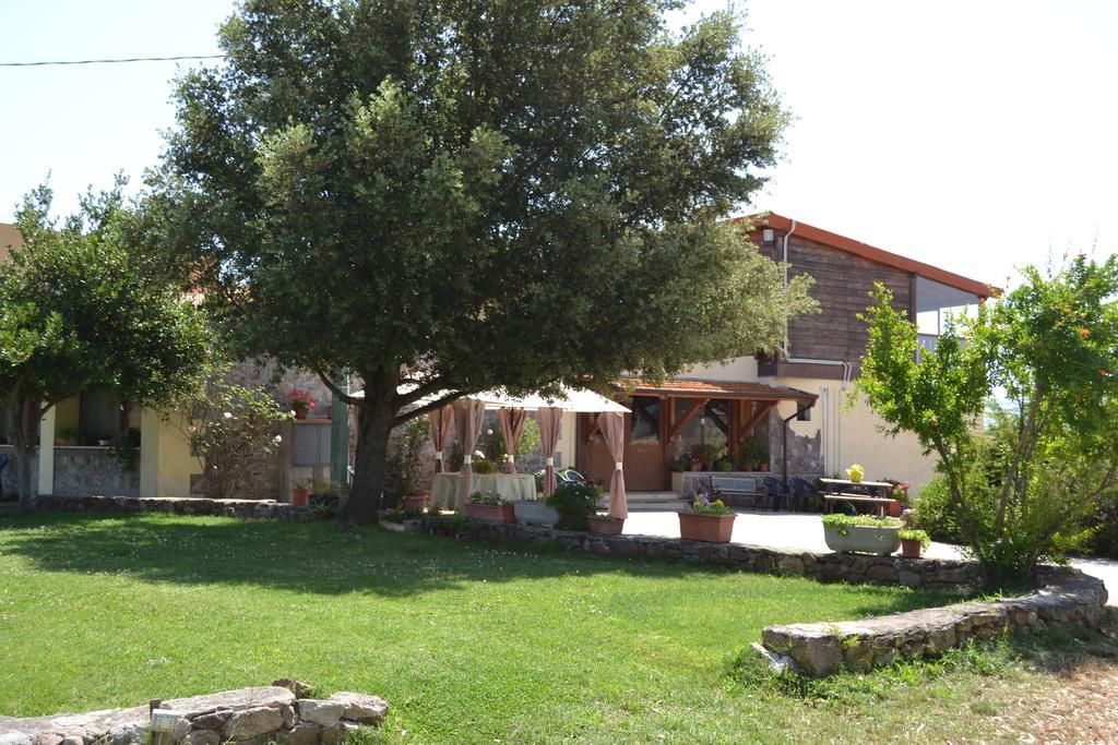Agriturismo Sa Pigalva Tula Buitenkant foto